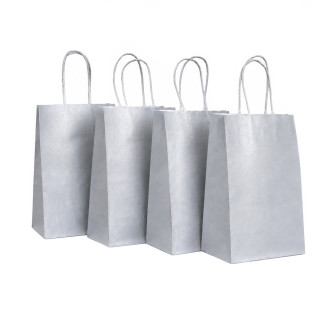 Kraft package 13 x 21 x 8cm Silver