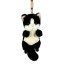 Soft magnetic toy Cat Nicky