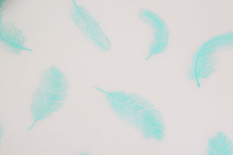 The film "Feathers" (turquoise) matte in a roll