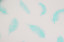 The film "Feathers" (turquoise) matte in a roll