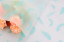 The film "Feathers" (turquoise) matte in a roll
