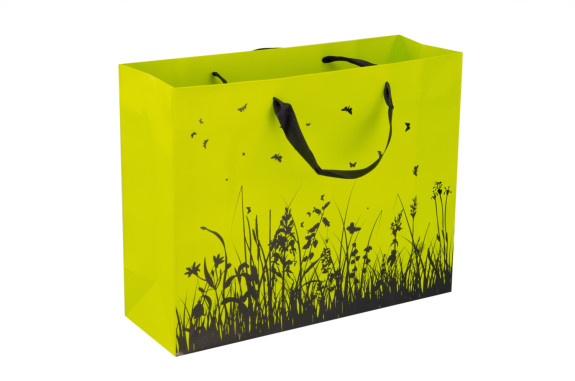 Cardboard bag 31.8 x 25.5 x 10.8 cm.  "Lime Grass"