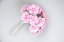 Camellia Butterfly Marshmallow