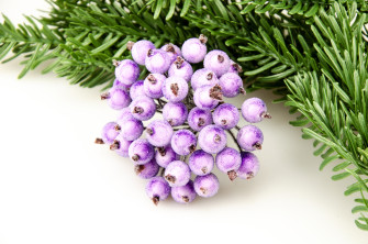 Berries in sugar in the beam violet