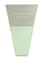 Пакеты для цветов SB.DOZHD-085 Pastel Green