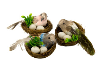 Bird in a nest with eggs in stock