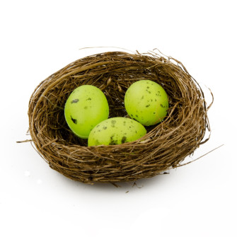 Easter eggs in a nest of 3 pieces of greenery