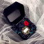 Box for jewelry velvet WFL037CMR Black