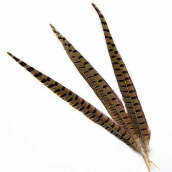 Pheasant feathers are natural