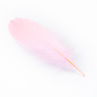 Pink goose feathers