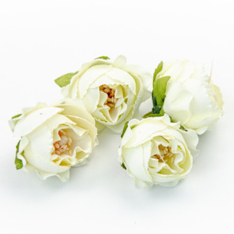Flower heads rose white