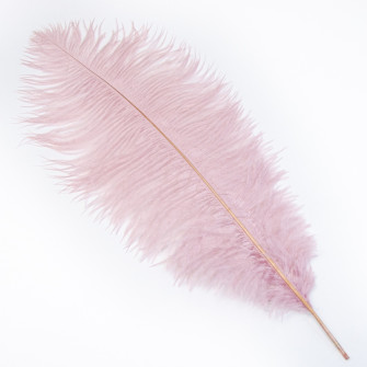 Ostrich feathers dark powder 50 - 55cm