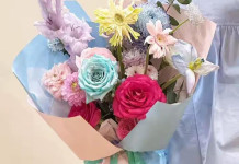 Plivka Mono thickness 80 microns