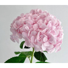 Artificial hydrangea